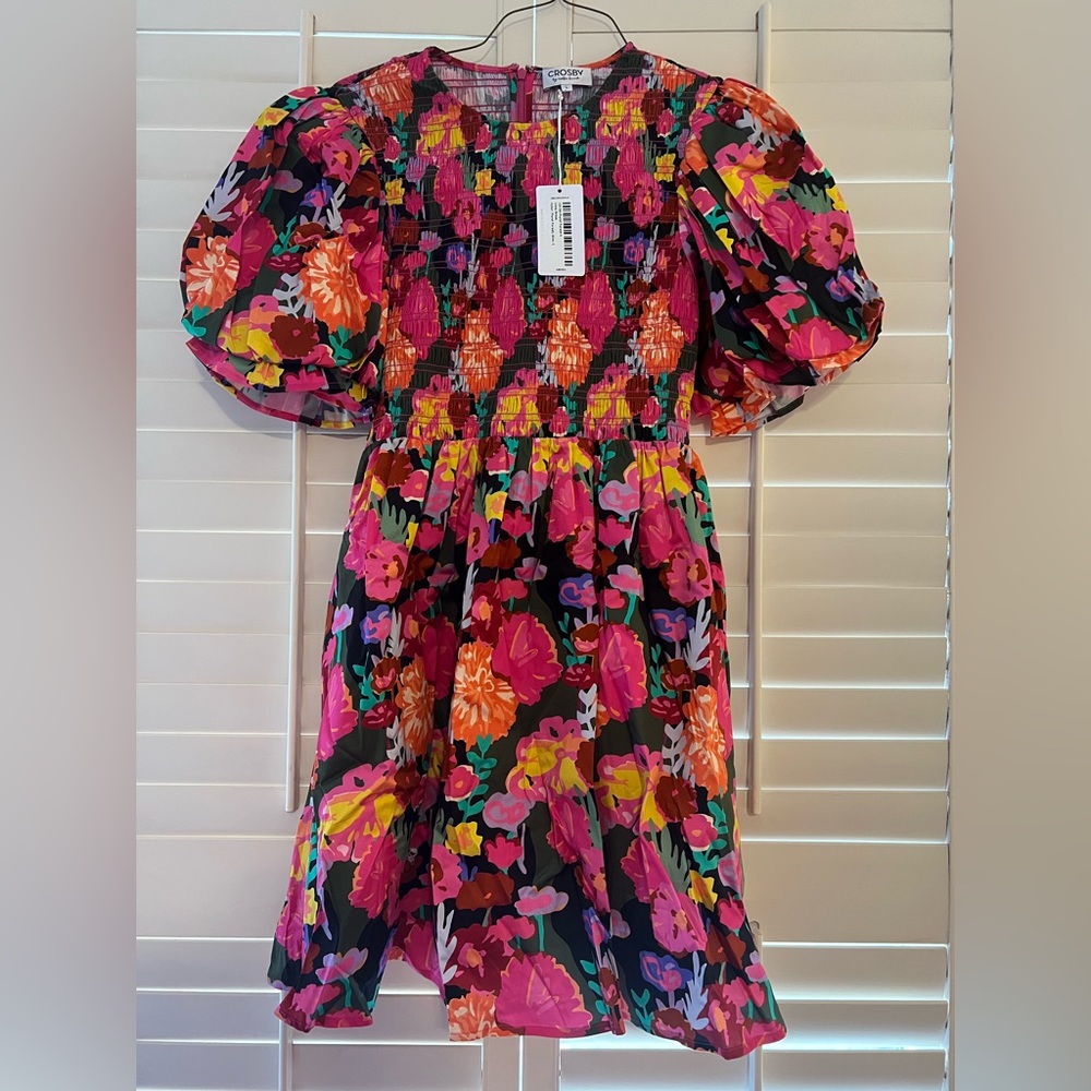Brand new with tags, size Large L Crosby by Mollie Burch Lizzy dress